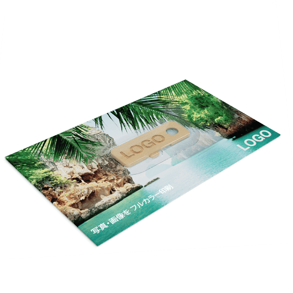 キャノピー - カスタム木製ウェブカメラカバー キャノピー - カスタム木製ウェブカメラカバー